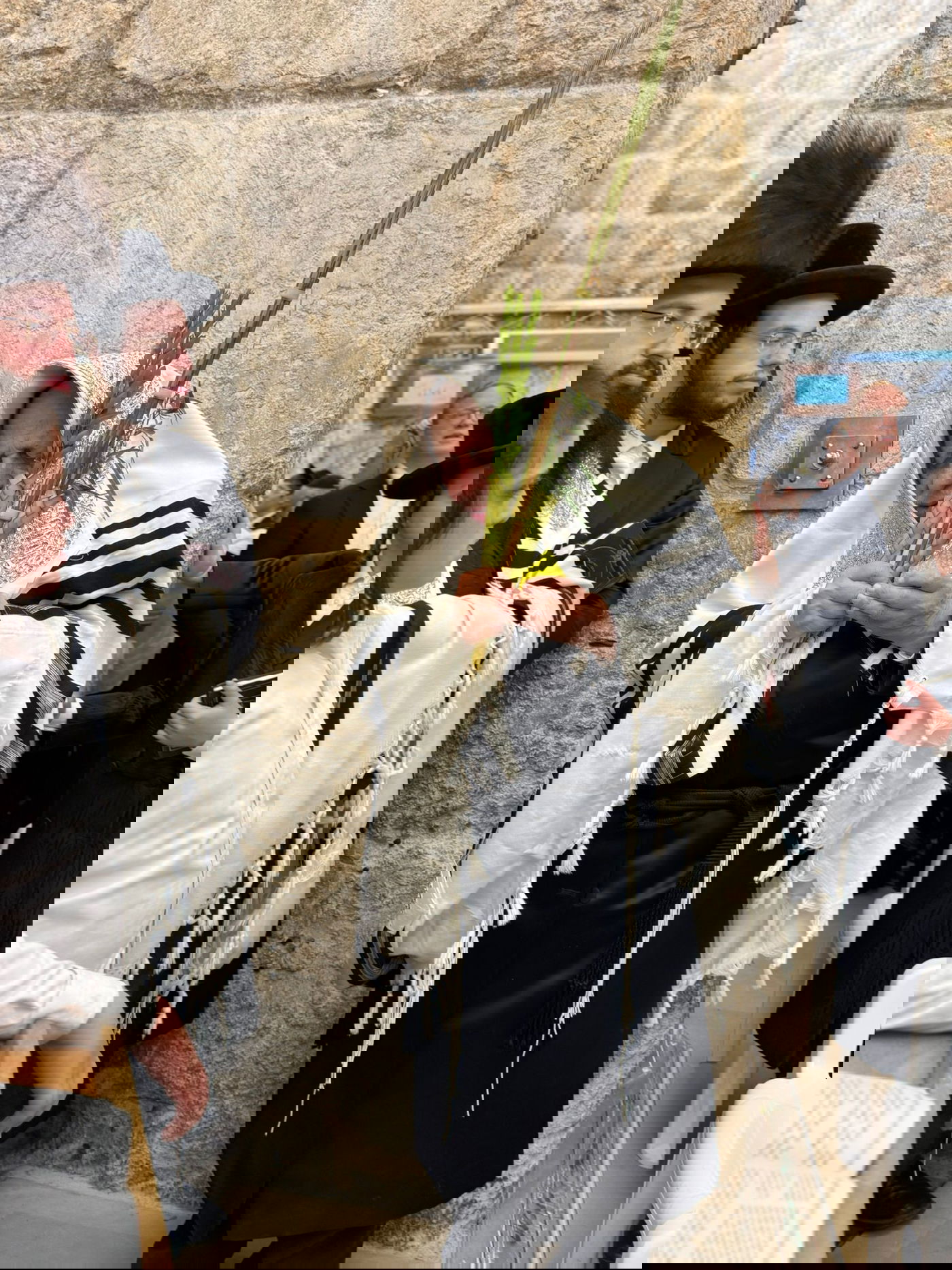 האדמו"ר מקופיטשניץ בנטילת לולב 