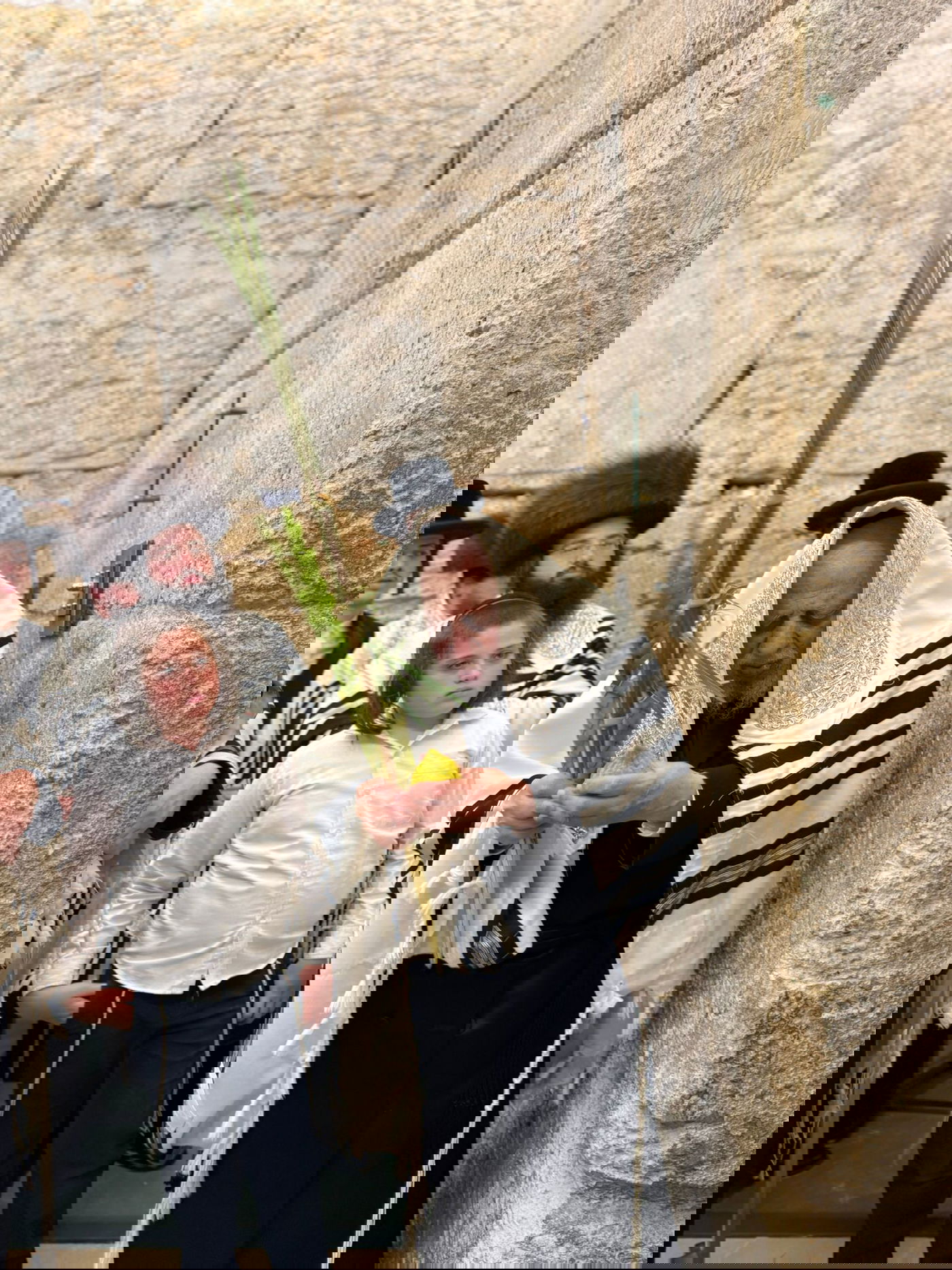 האדמו"ר מקופיטשניץ בנטילת לולב 