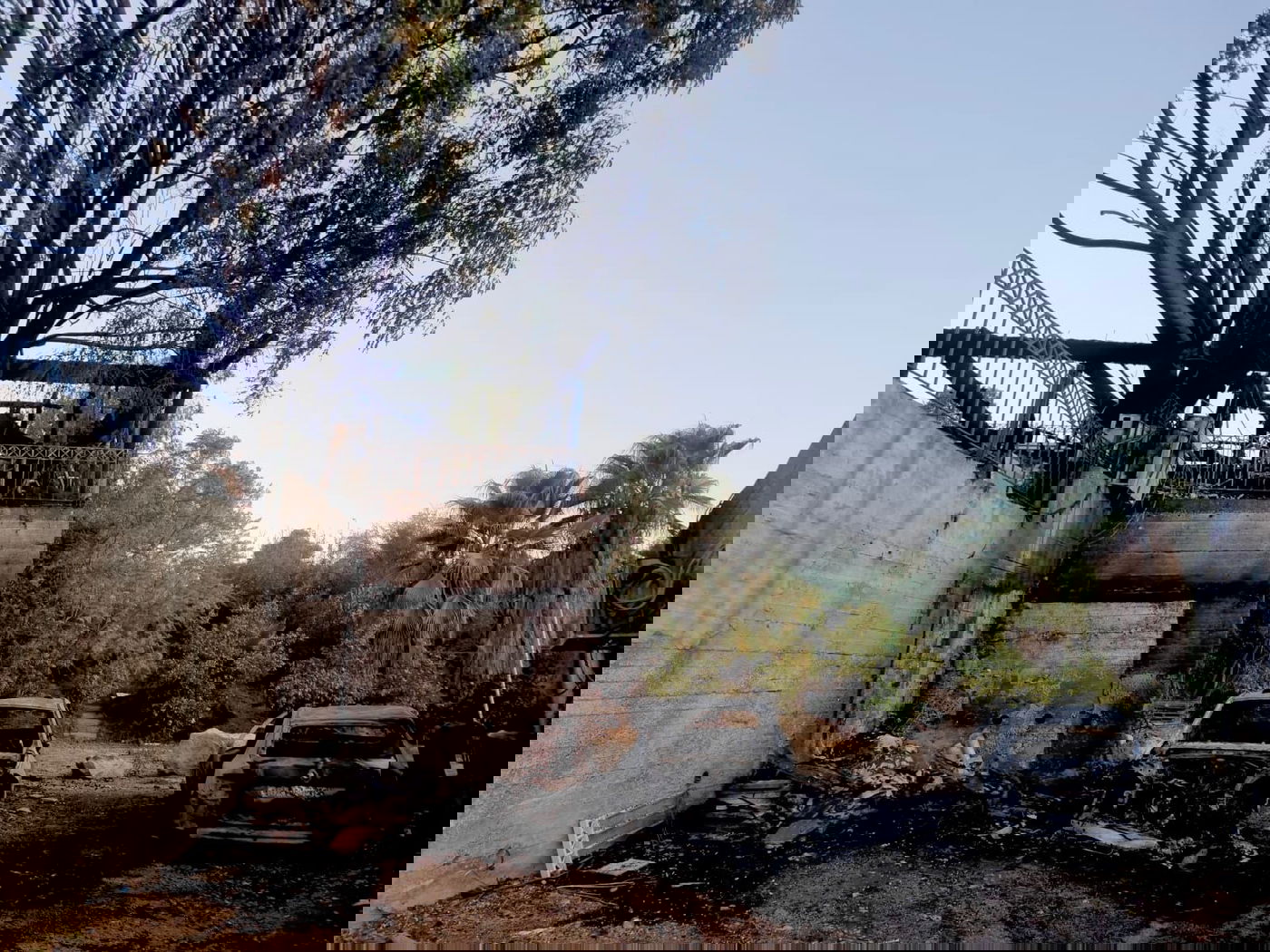 השריפה באבו גוש ונס הרים