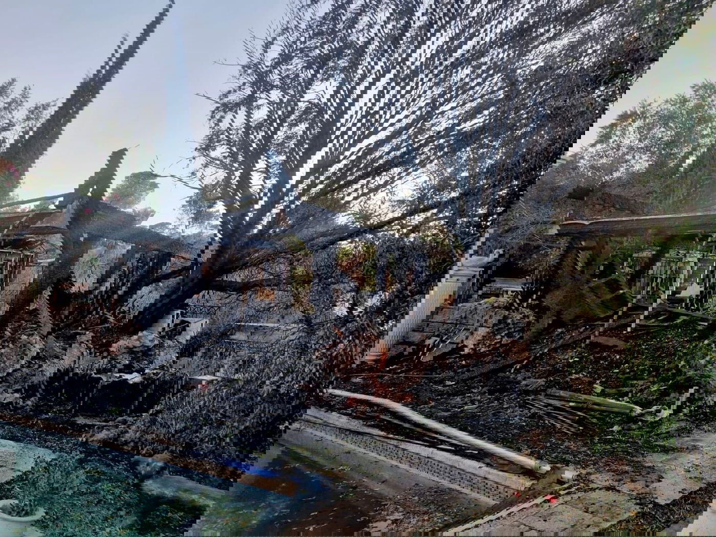 השריפה באבו גוש ונס הרים