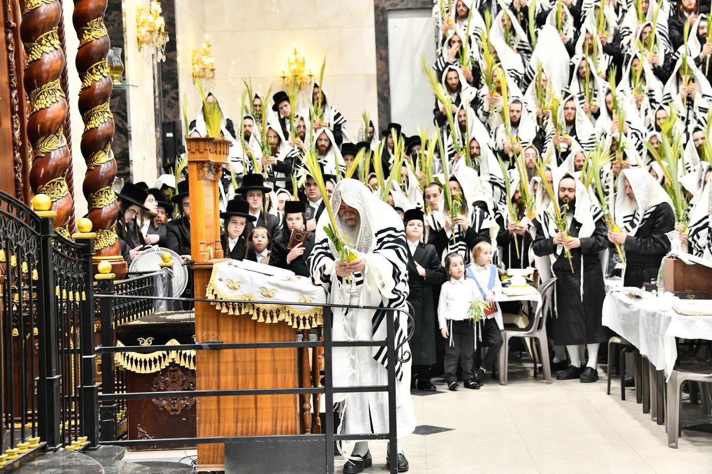 הושענא רבה בחצה"ק דארג 