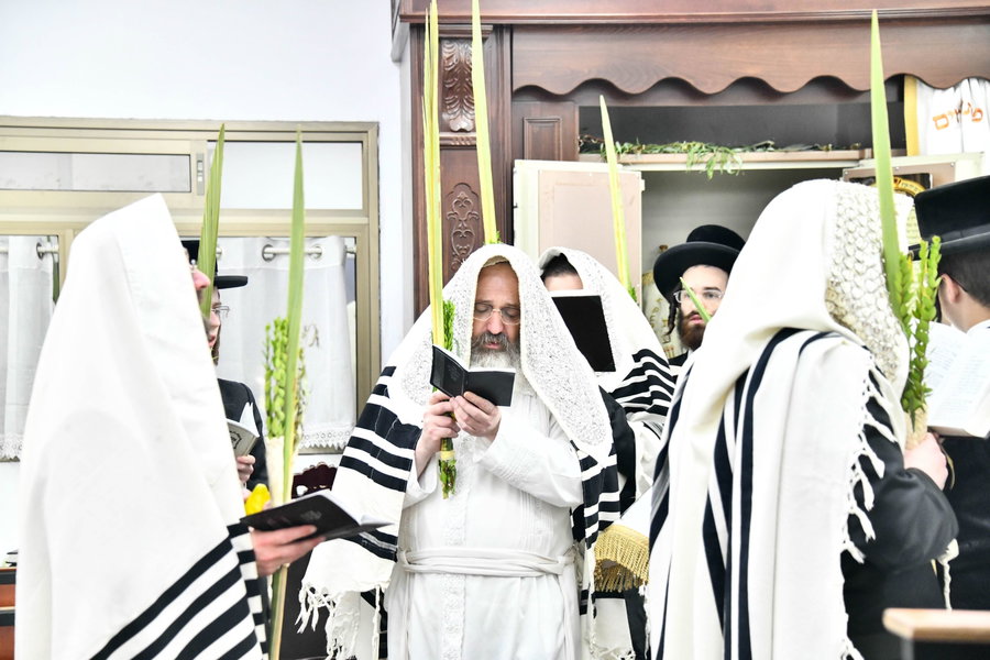 הושענא רבה בצל האדמו"ר מזוטשקא אמסנא