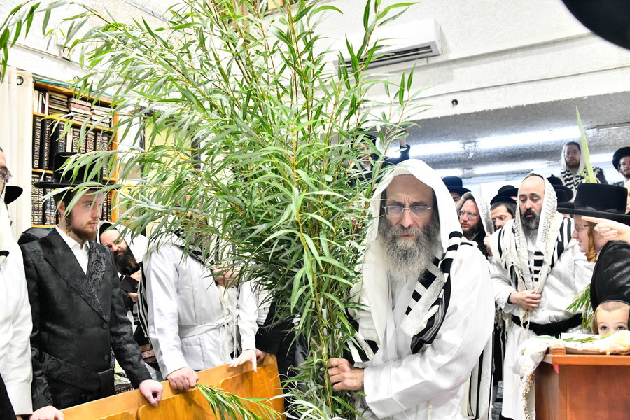 הושענא רבה אצל המשפיע הגה"צ רבי אלימלך בידרמן