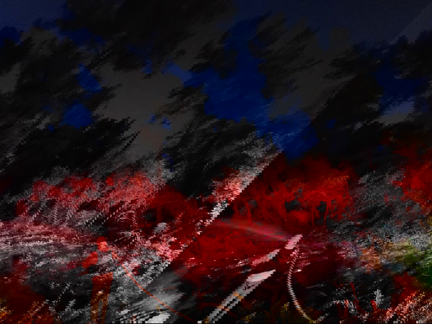 שריפה גדולה בגליל באזור נפילה