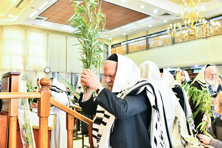הושענא רבה אצל הגאון רבי מרדכי שמואל אדלשטיין