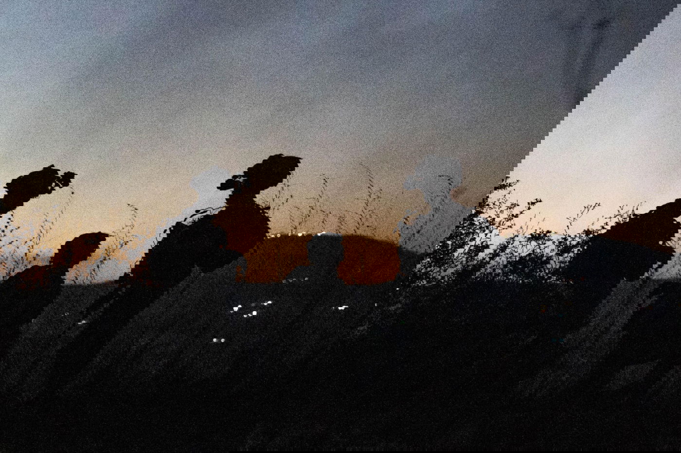 פעילות כוחות צה"ל בדרום לבנון