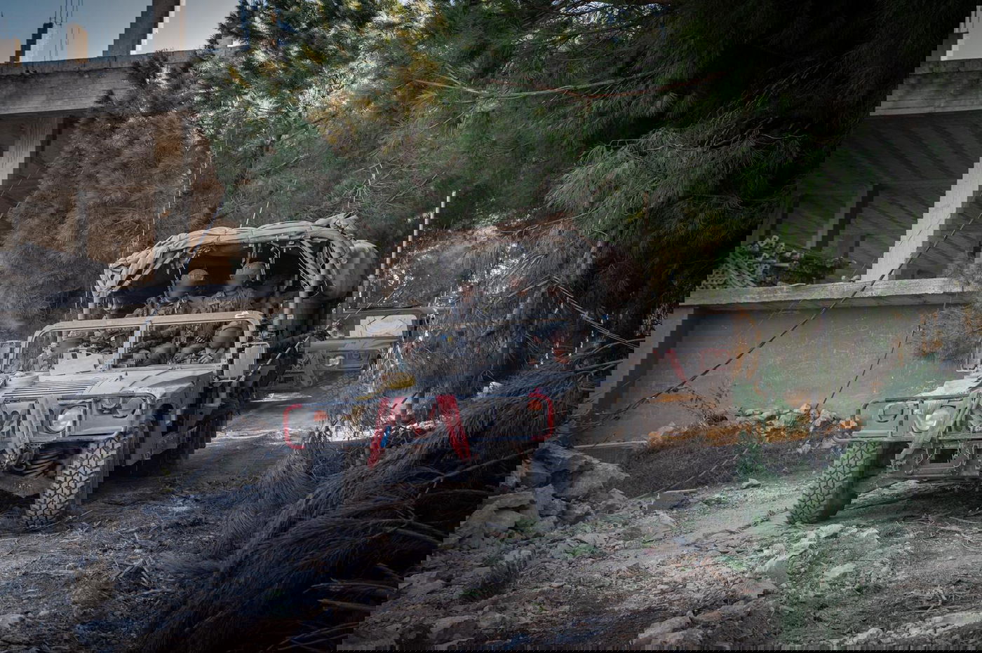 פעילות כוחות צה"ל בדרום לבנון