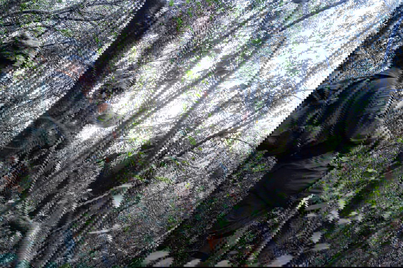 לוחמי גולני בדרום לבנון 