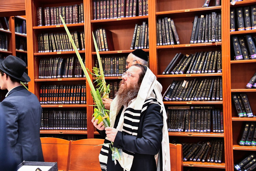 הושענא רבה אצל הגאון רבי עמרם פריד