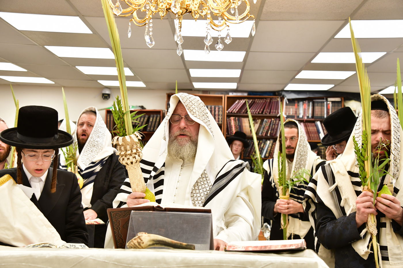 הושענא רבה בחצה"ק שאץ אשדוד 