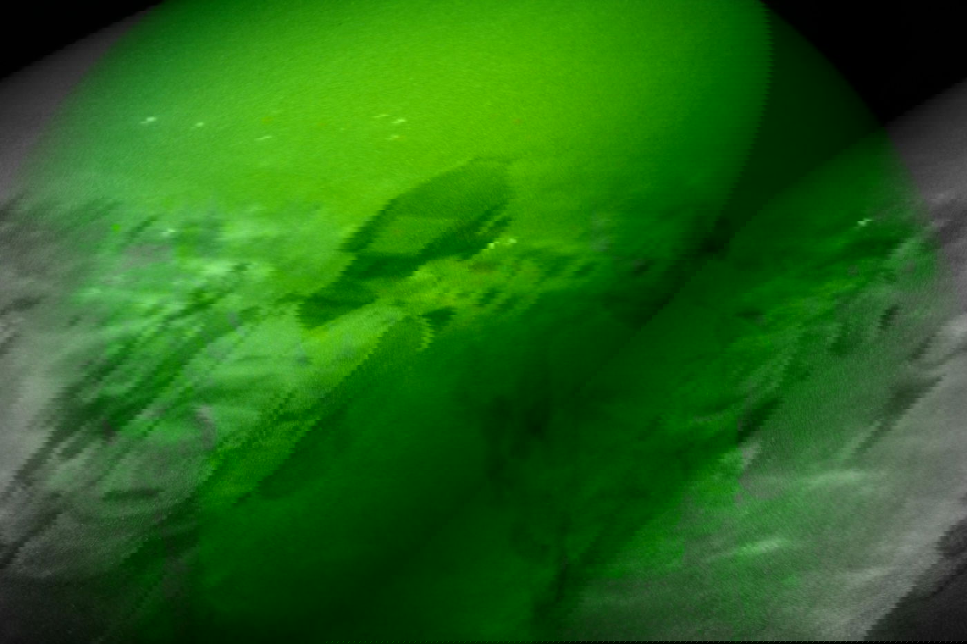 פעילות הכוחות בדרום לבנון