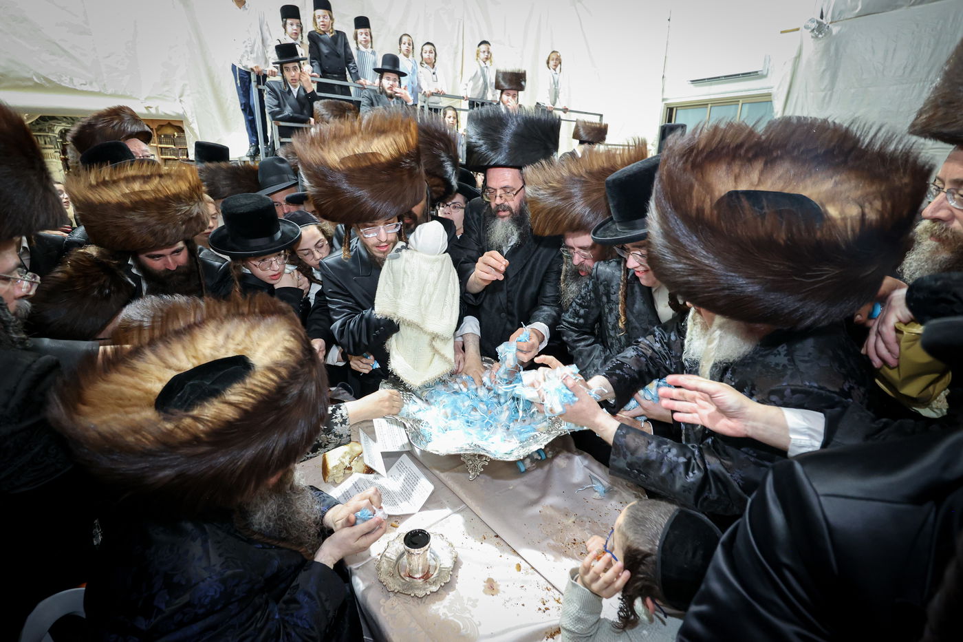 פדיון הבן בחצרות טשערנוביל - טעמשוואר 