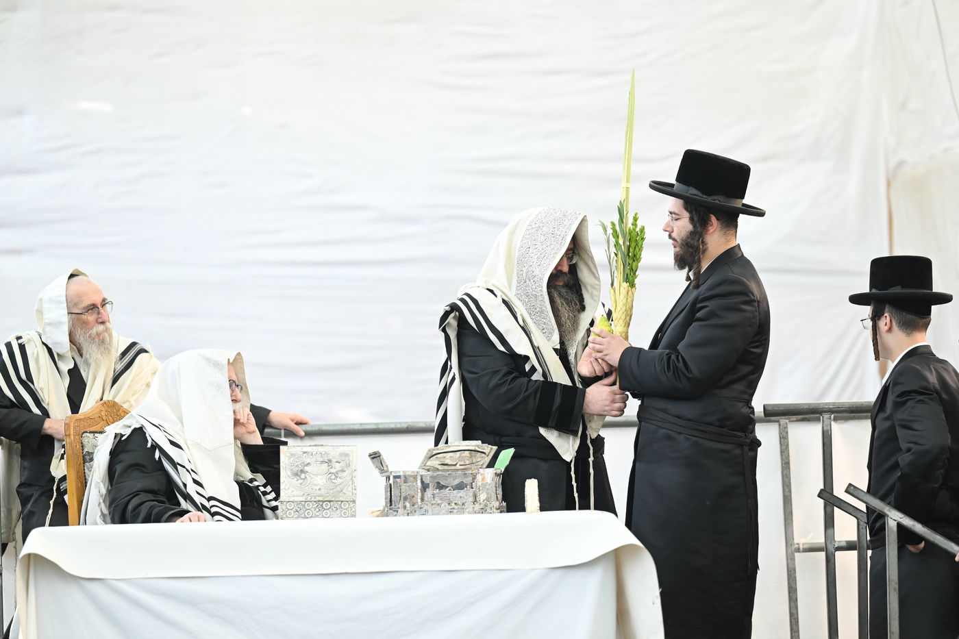 חג הסוכות בחצה"ק צאנז