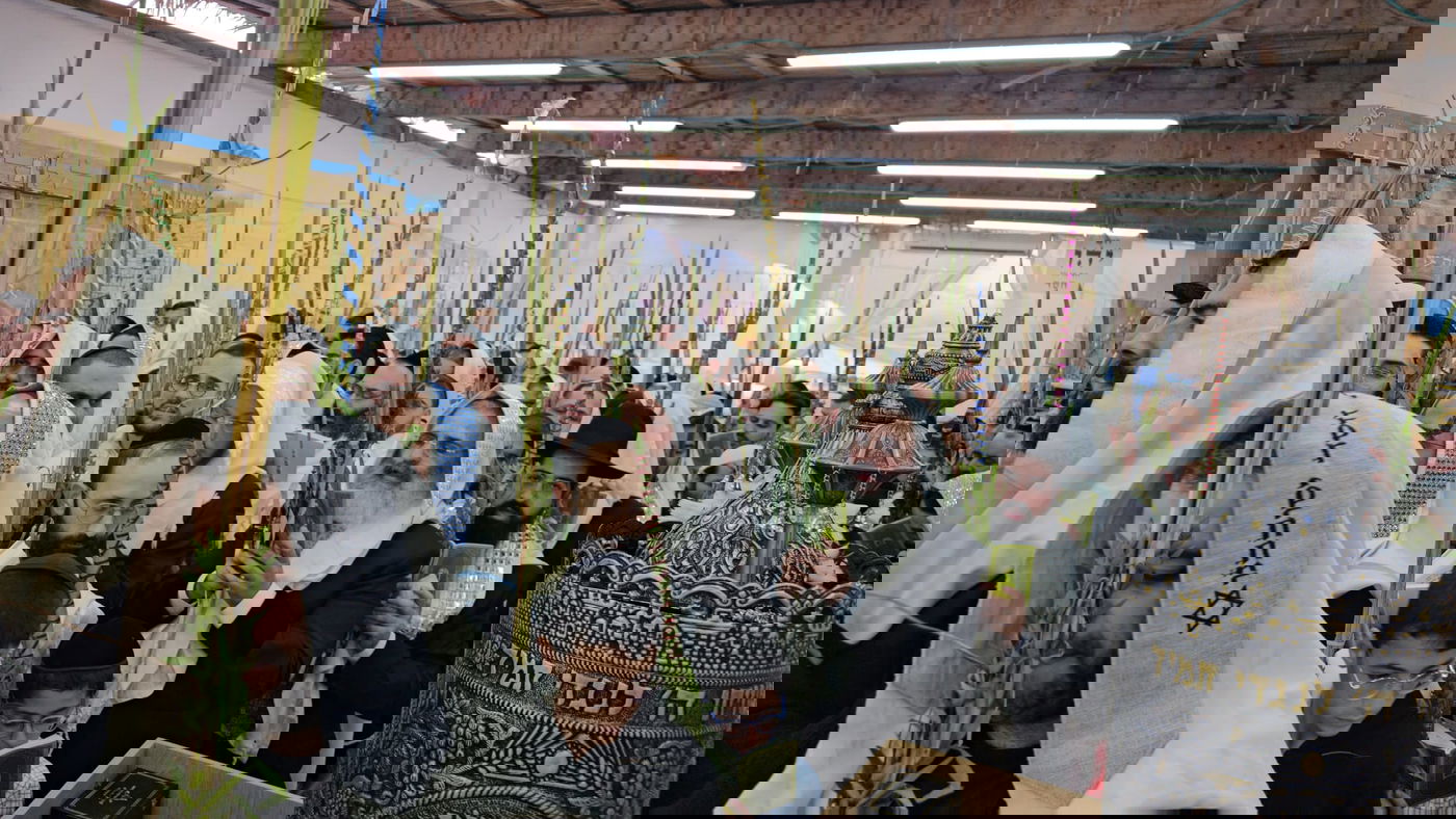 סוכות אצל הרה"צ רבי ישראל אברג'ל