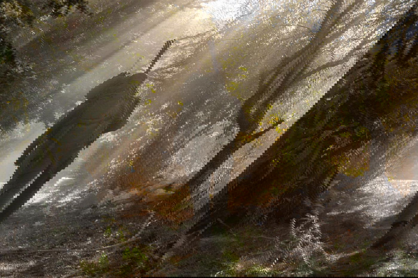 פעילות כוחות צה"ל בדרום לבנון