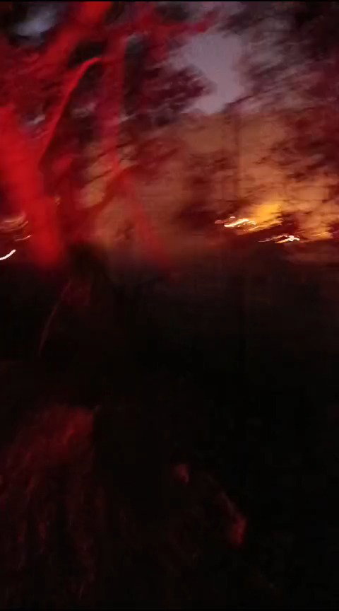 שריפת מטעי אבוקדו בכברי שבגליל המערבי בשל פגיעה ישירה