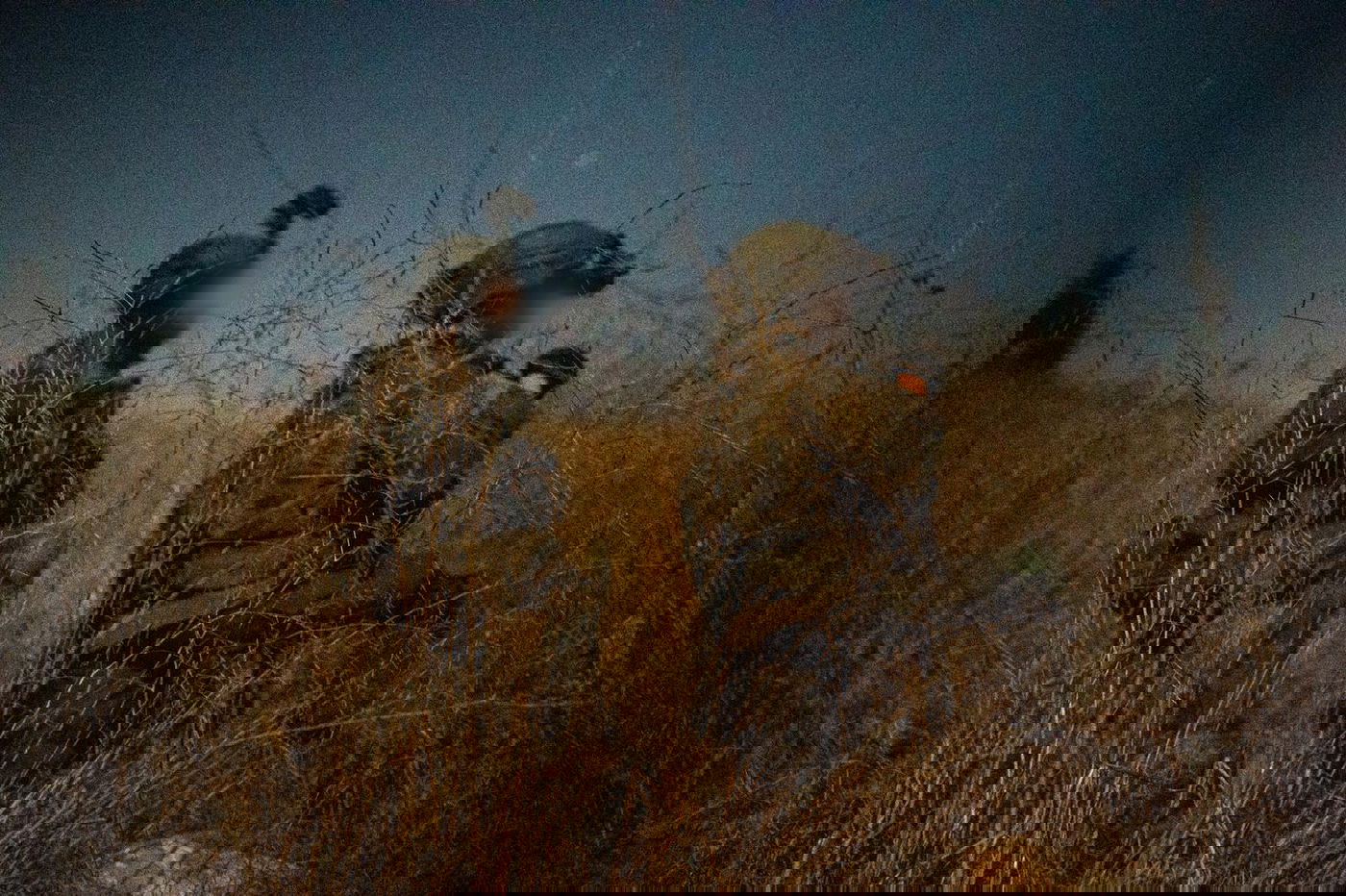 פעילות צה"ל בדרום לבנון