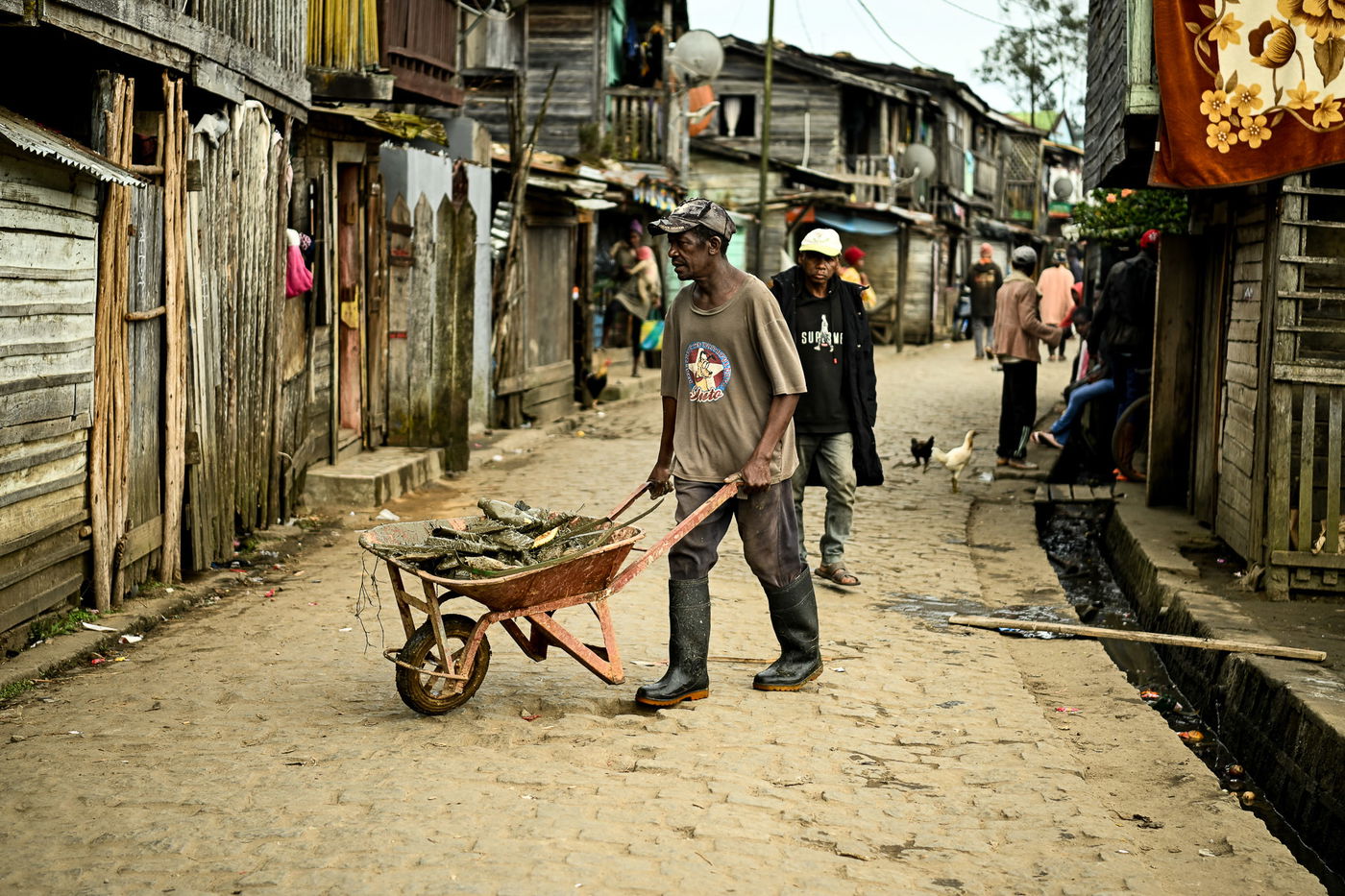 המסע במדגסקר