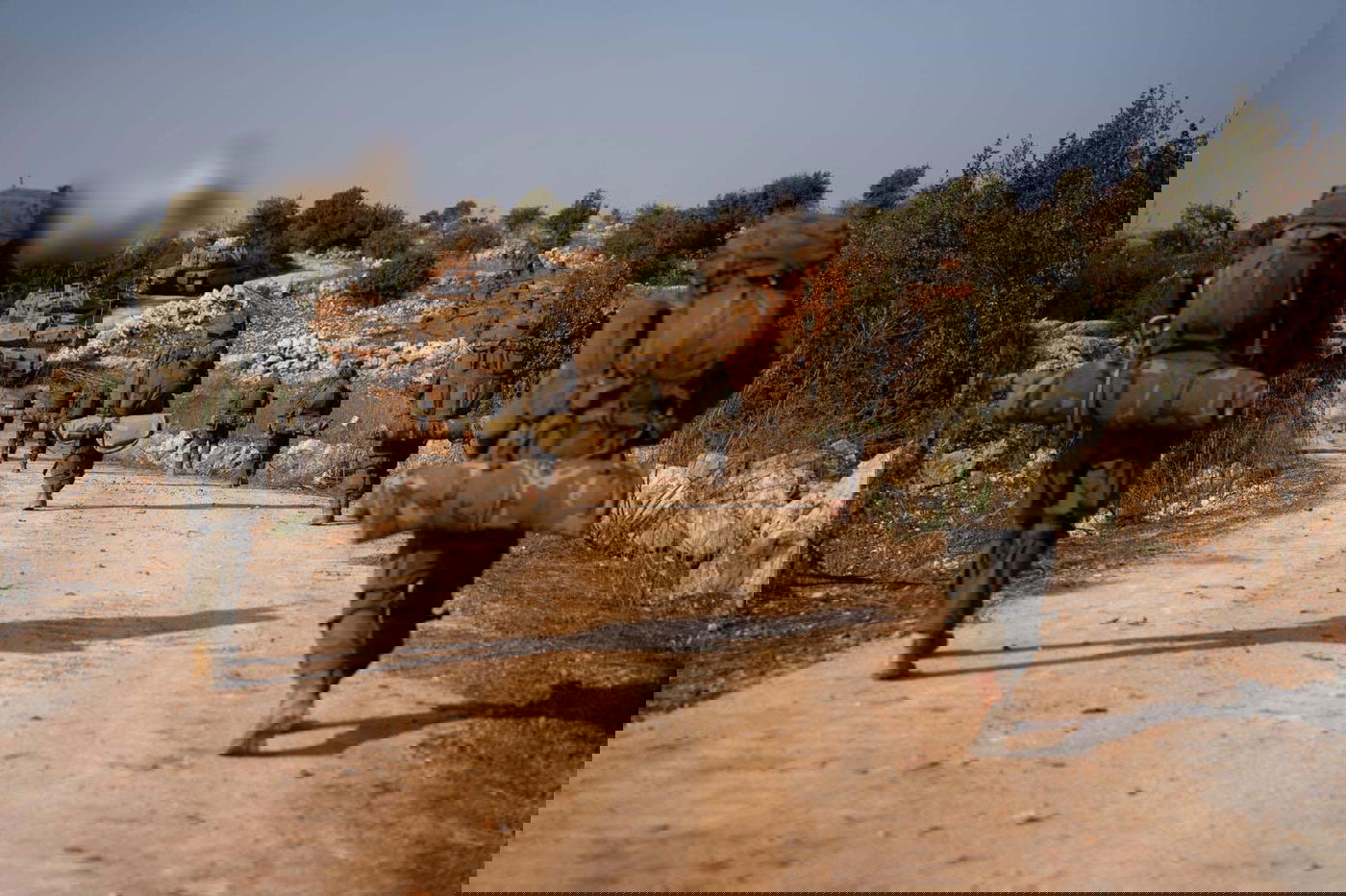 הלחימה בלבנון