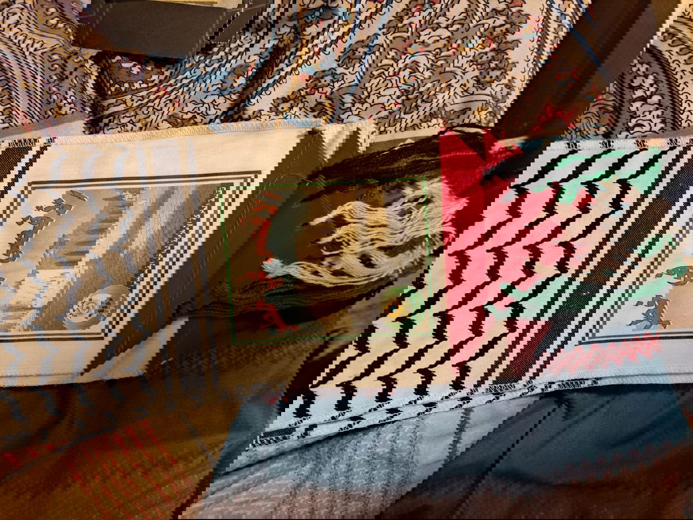 בן 19 מאום-אל-פאחם נעצר: נשבע אמונים לדעא"ש ותכנן פיגוע טרור