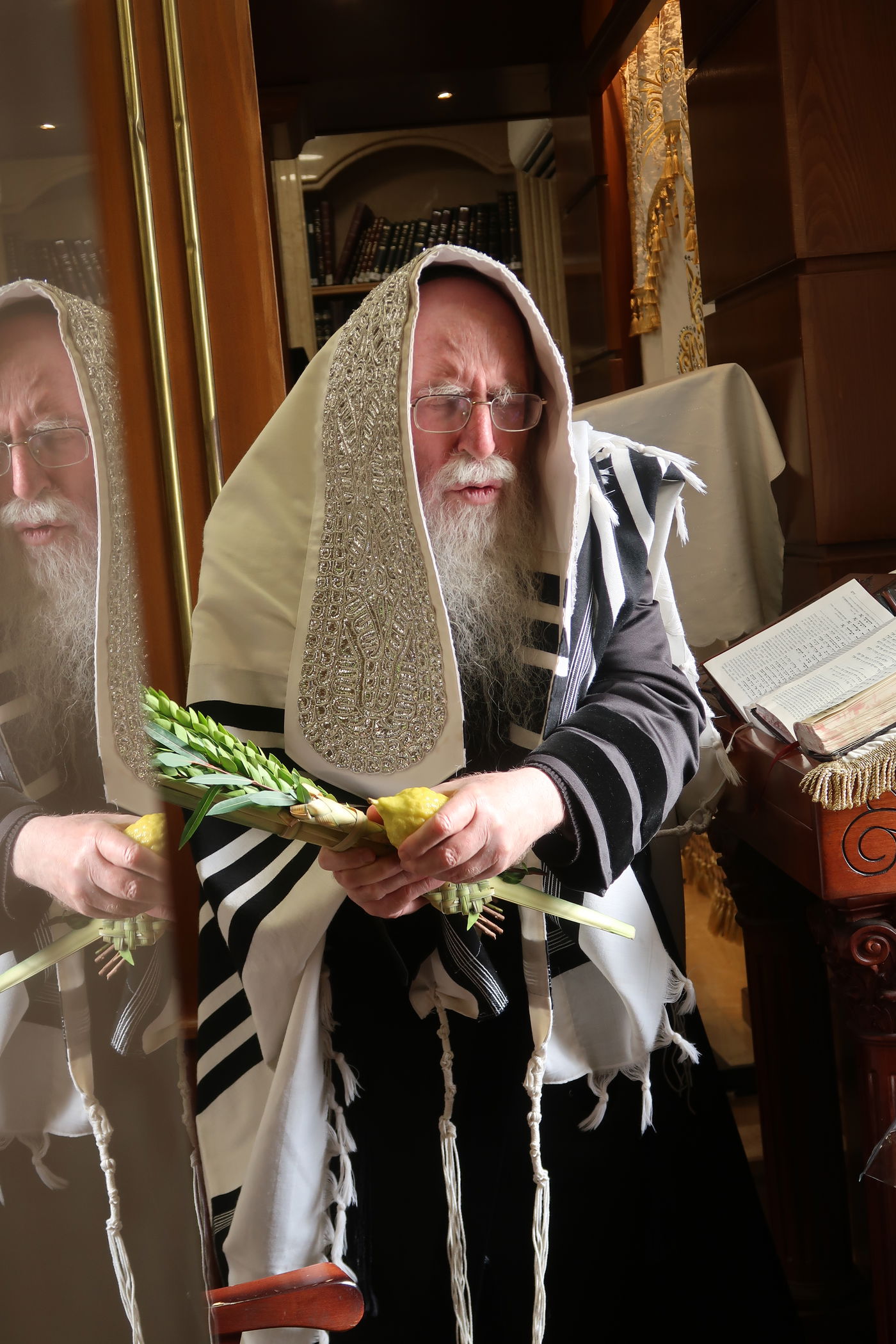 סוכות אצל הגה"צ אב"ד קרית צאנז ירושלים 