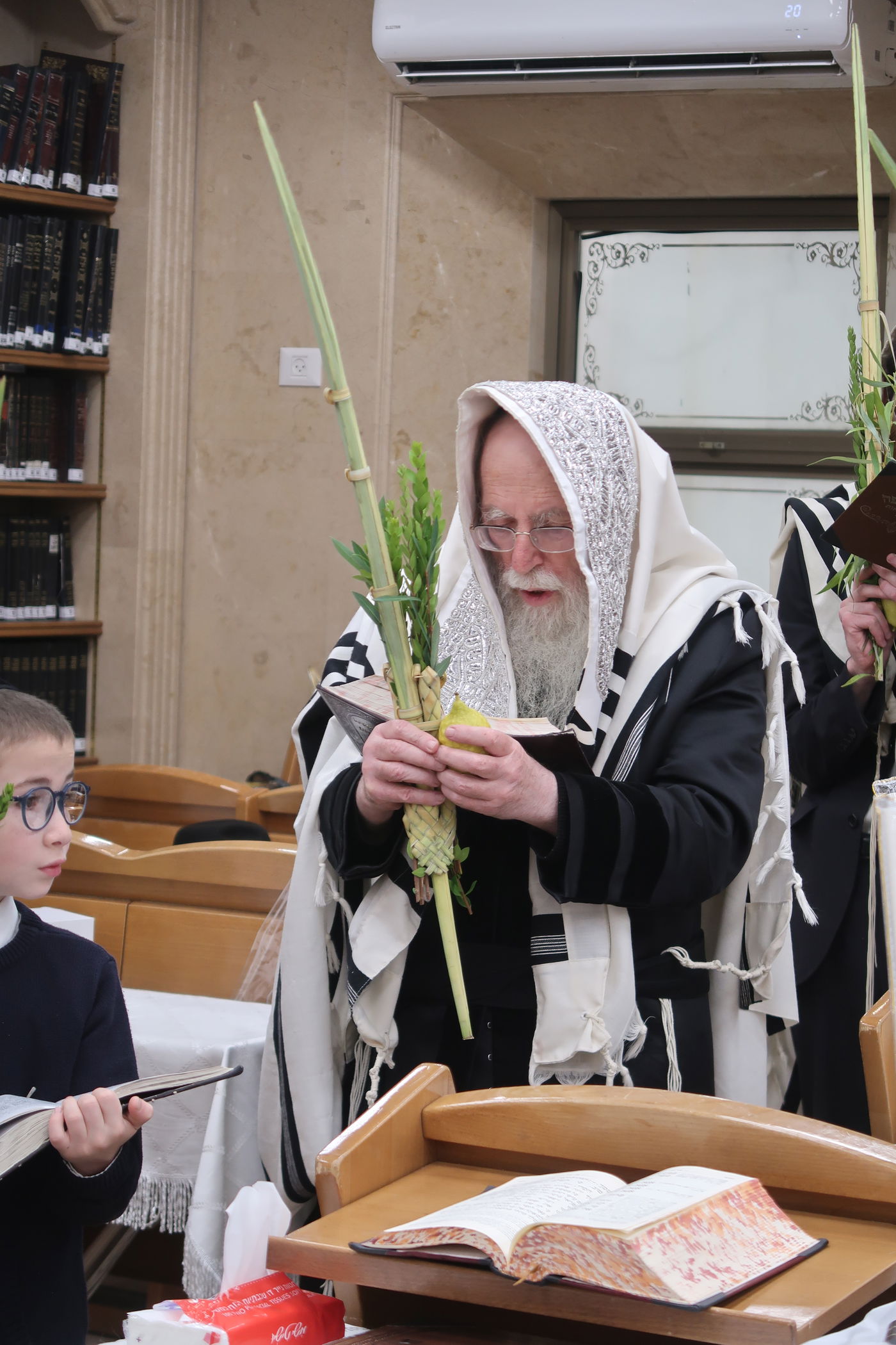 סוכות אצל הגה"צ אב"ד קרית צאנז ירושלים 