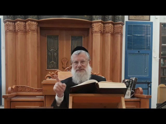 הרב אברהם יוסף שוורץ, על פרשת נח