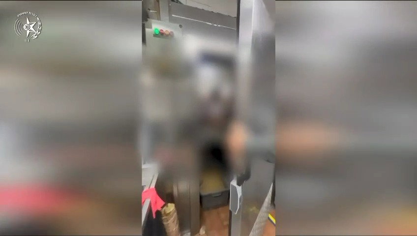 התפיסה המשטרתית