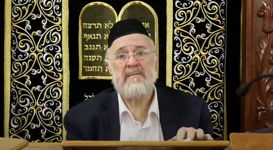 השיעור לפרשת נח