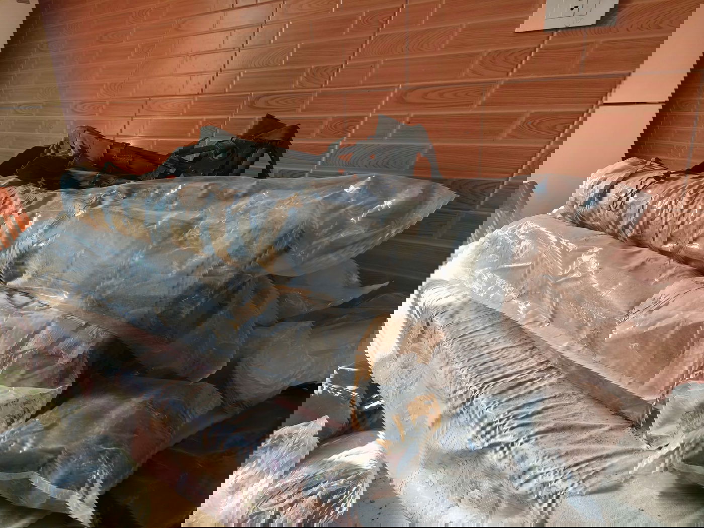 אויב שפל: קלצ'ניקוב וטילים ליד בובות משחקים בדירה בלבנון