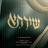 סינגלים וקליפים