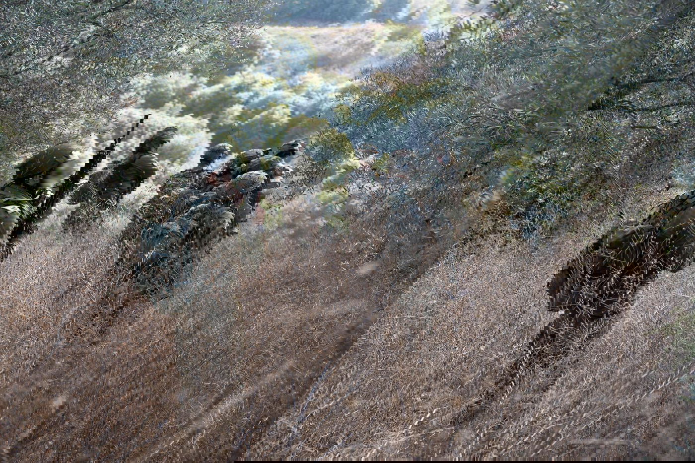 הפעילות בלבנון