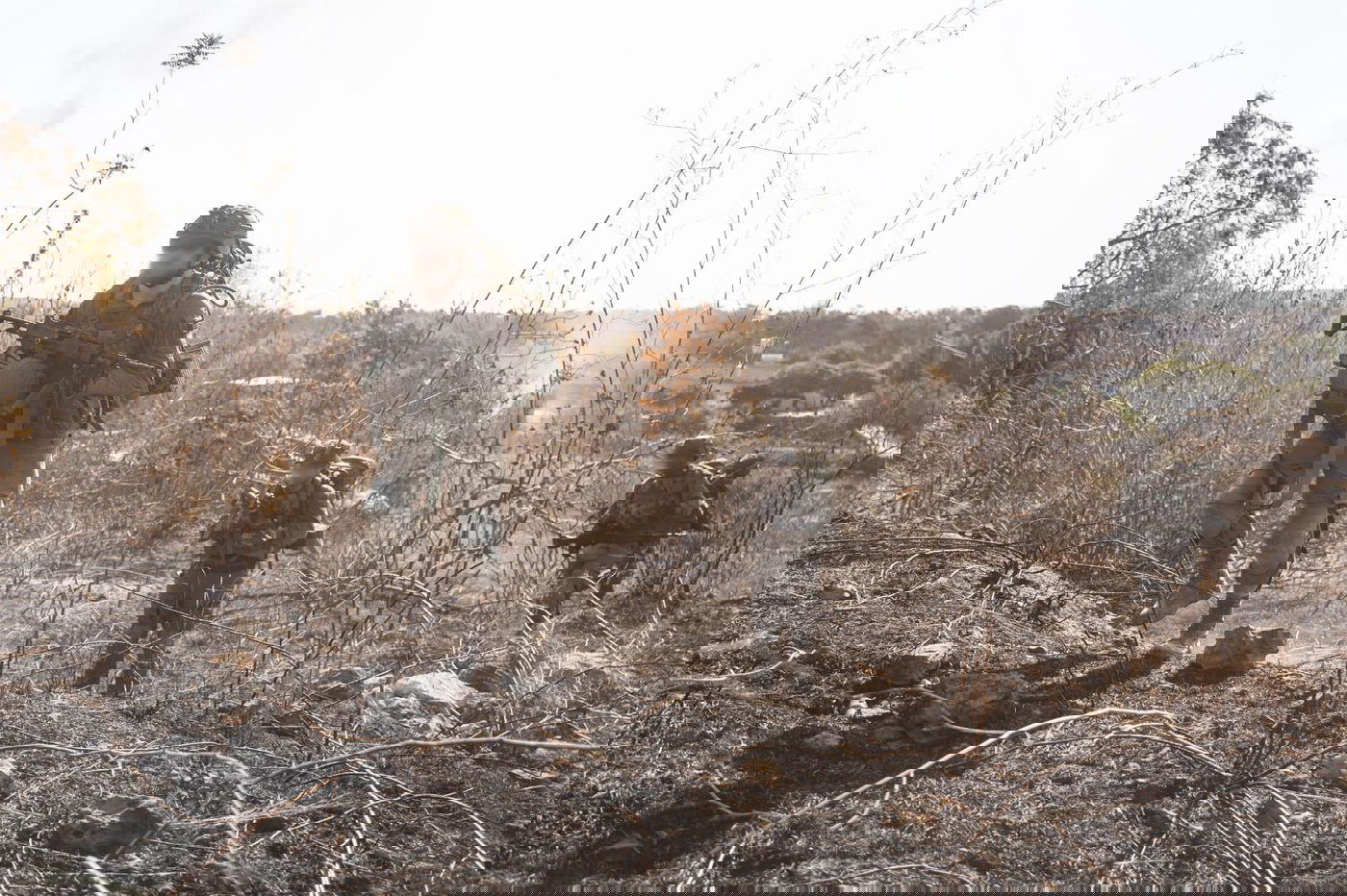 הפעילות בלבנון