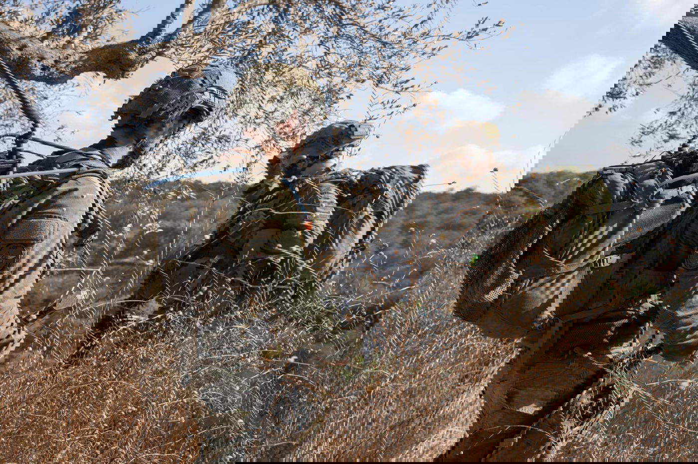 הפעילות בלבנון