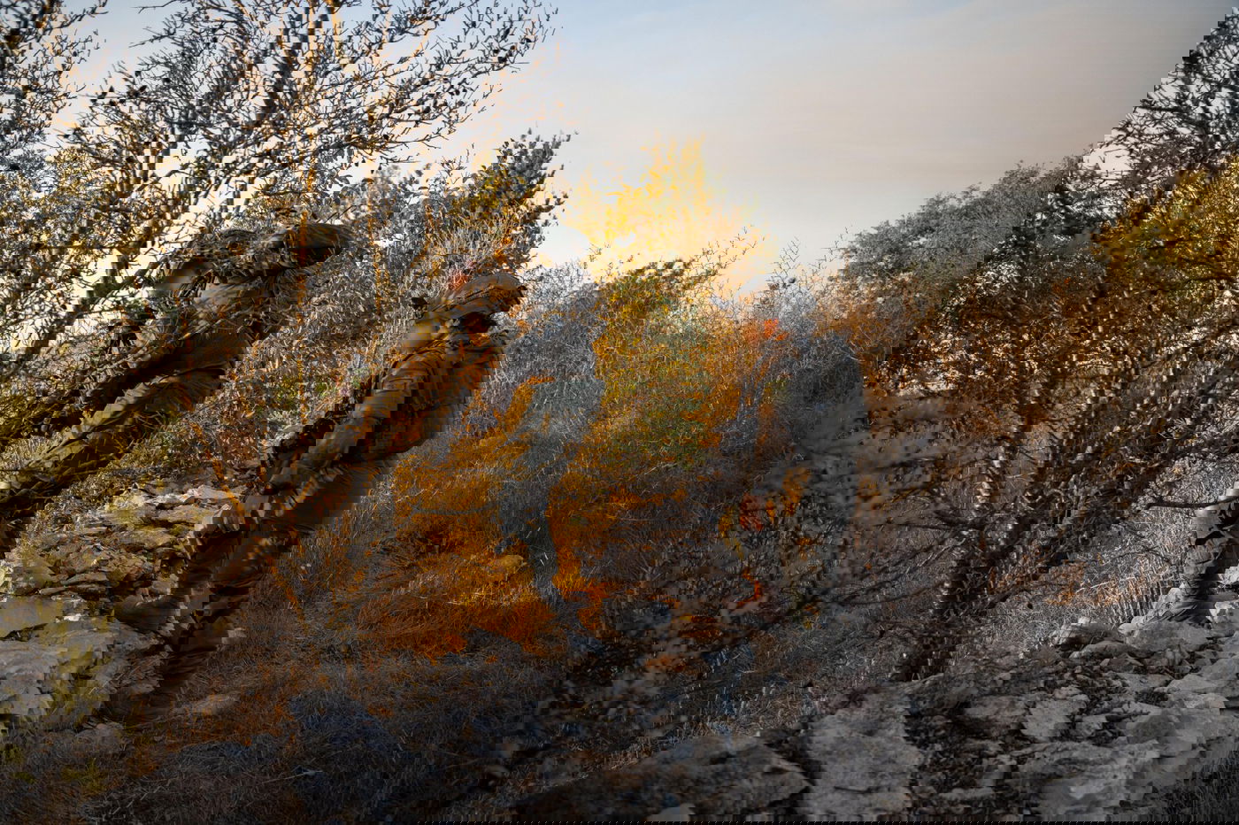 כוחות צה"ל בדרום לבנון 