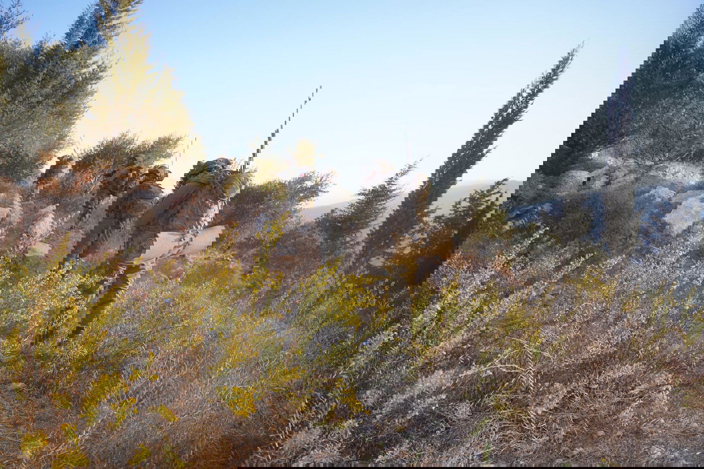 תיעוד מהפעילות בלבנון