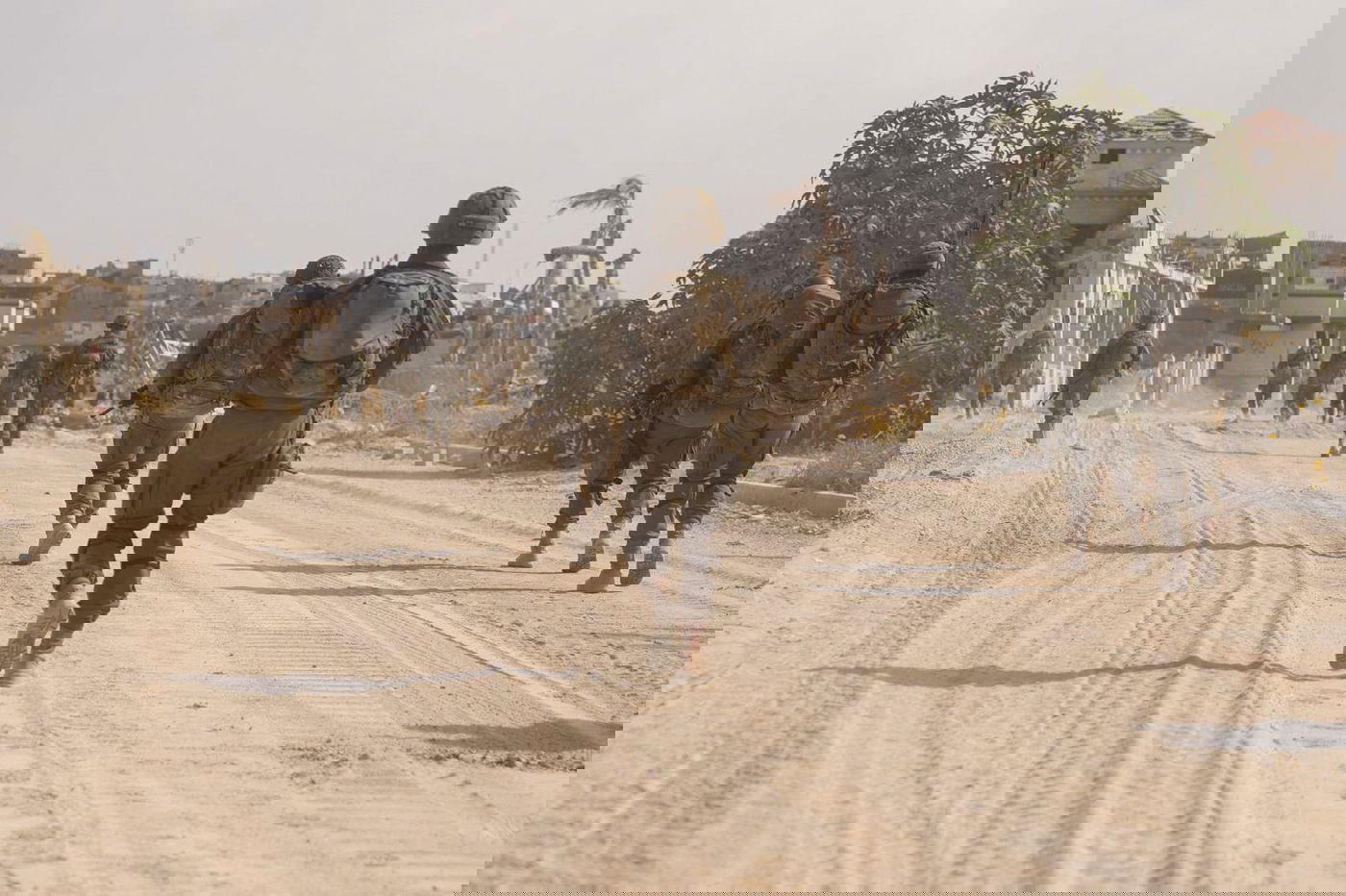 תיעוד הפעילות