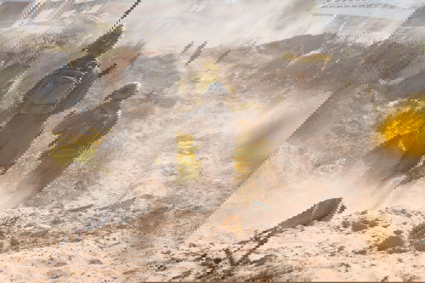 תיעוד הפעילות