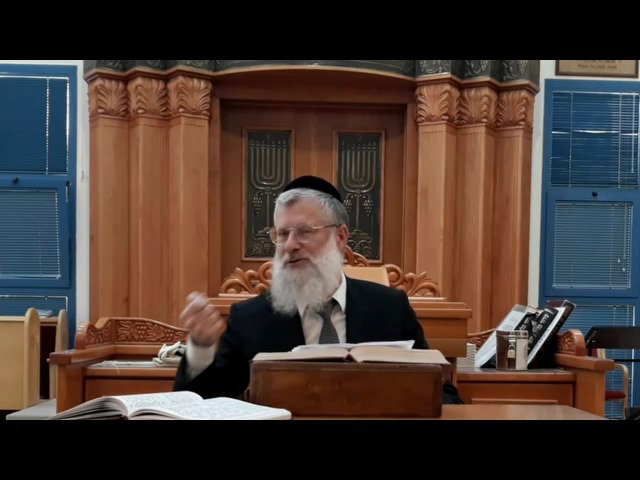 הרב אברהם יוסף שוורץ, על פרשת לך לך