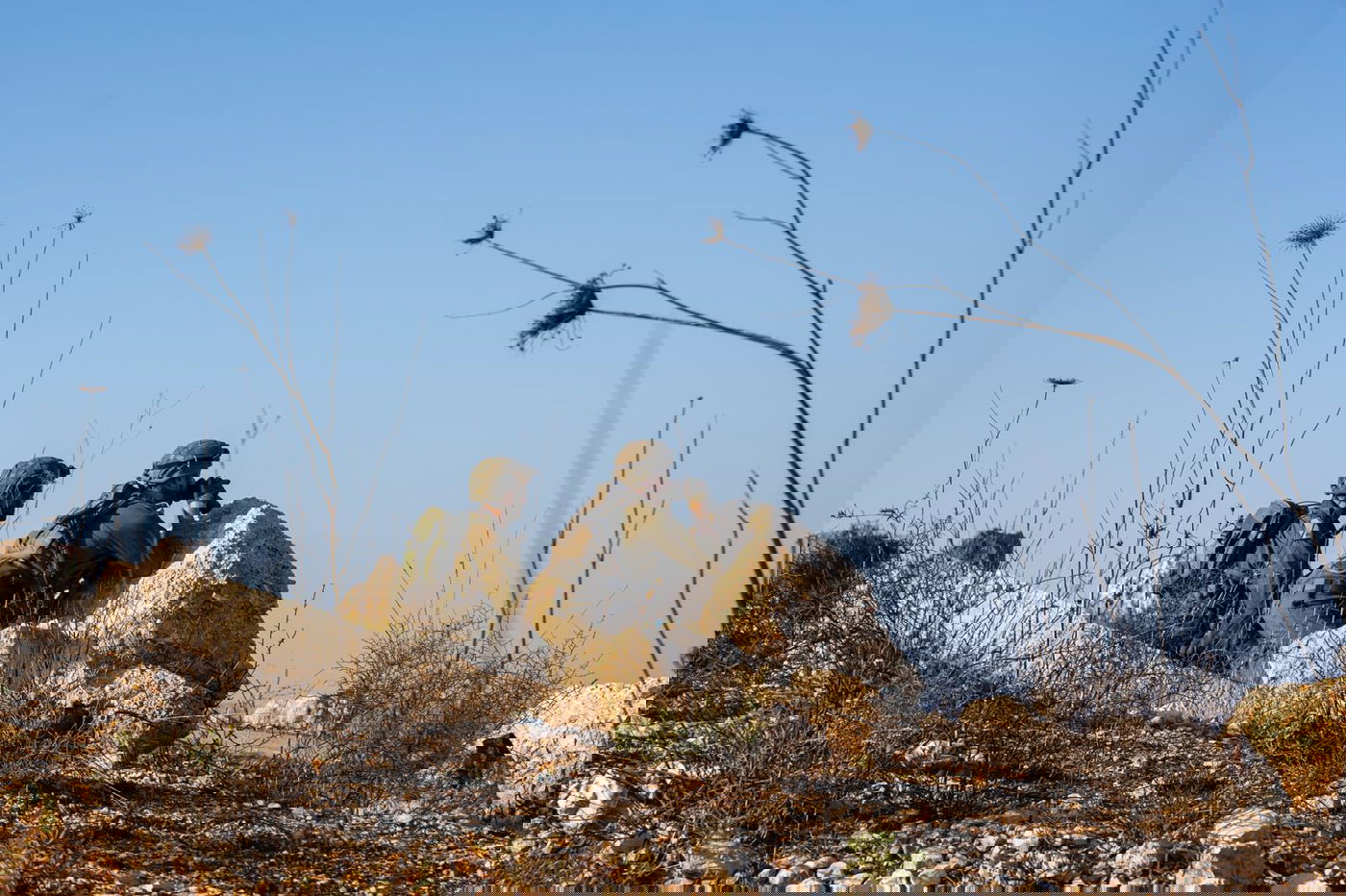 פעילות הכוחות באיזור