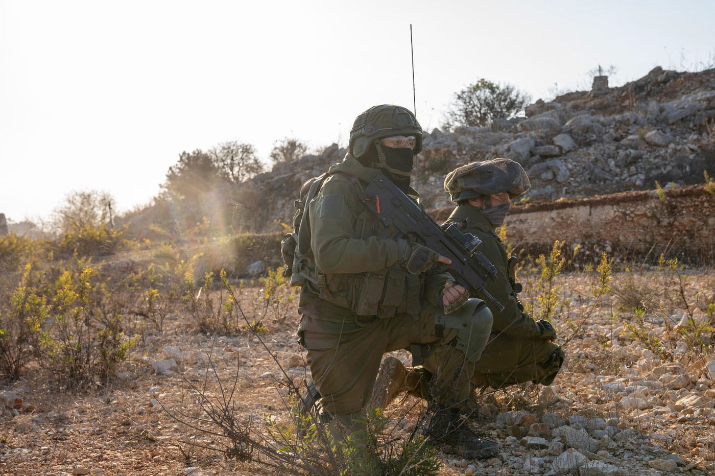 פעילות כוחות צה"ל