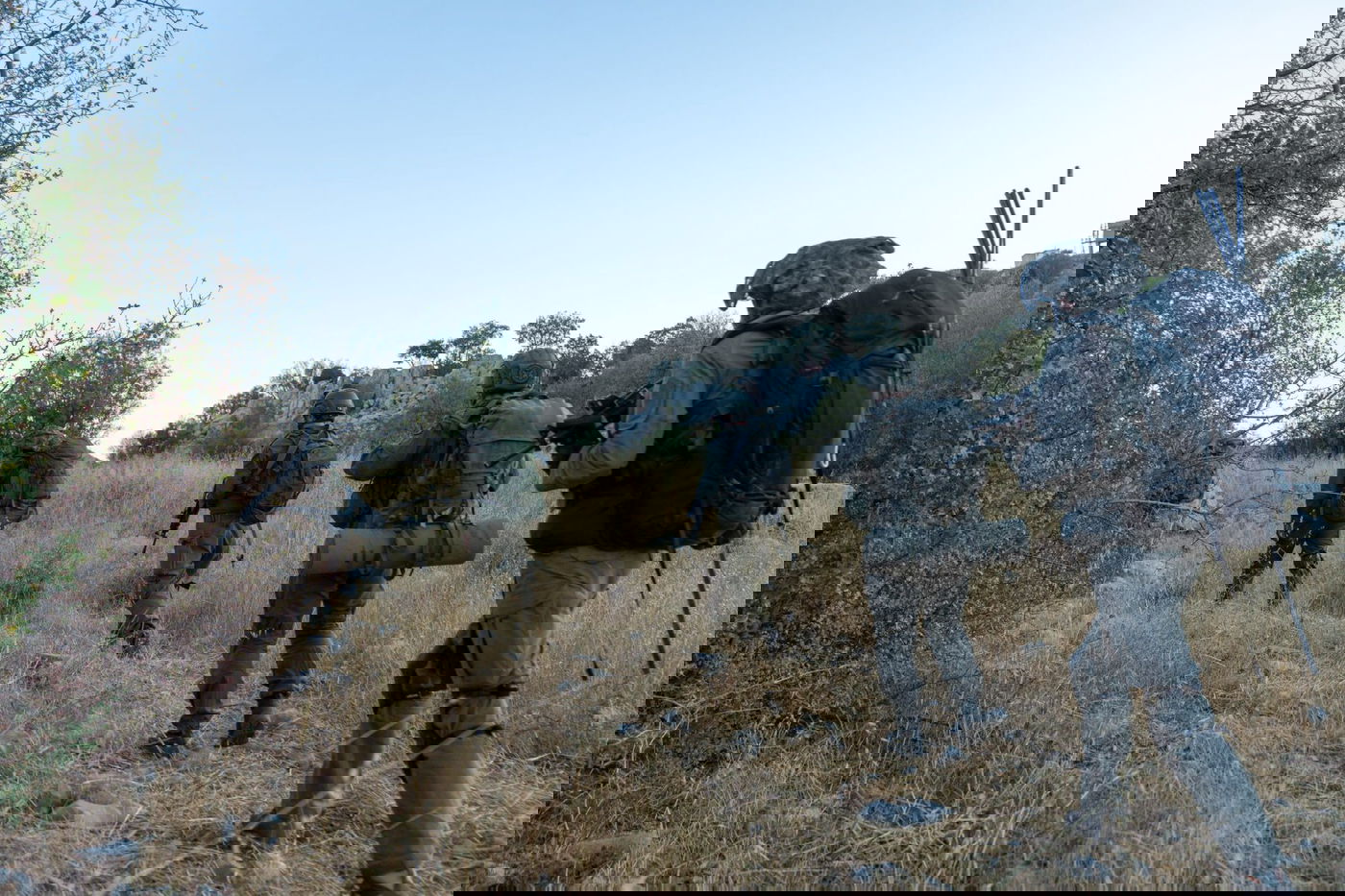 פעילות כוחות יחידת האלפיניסטים