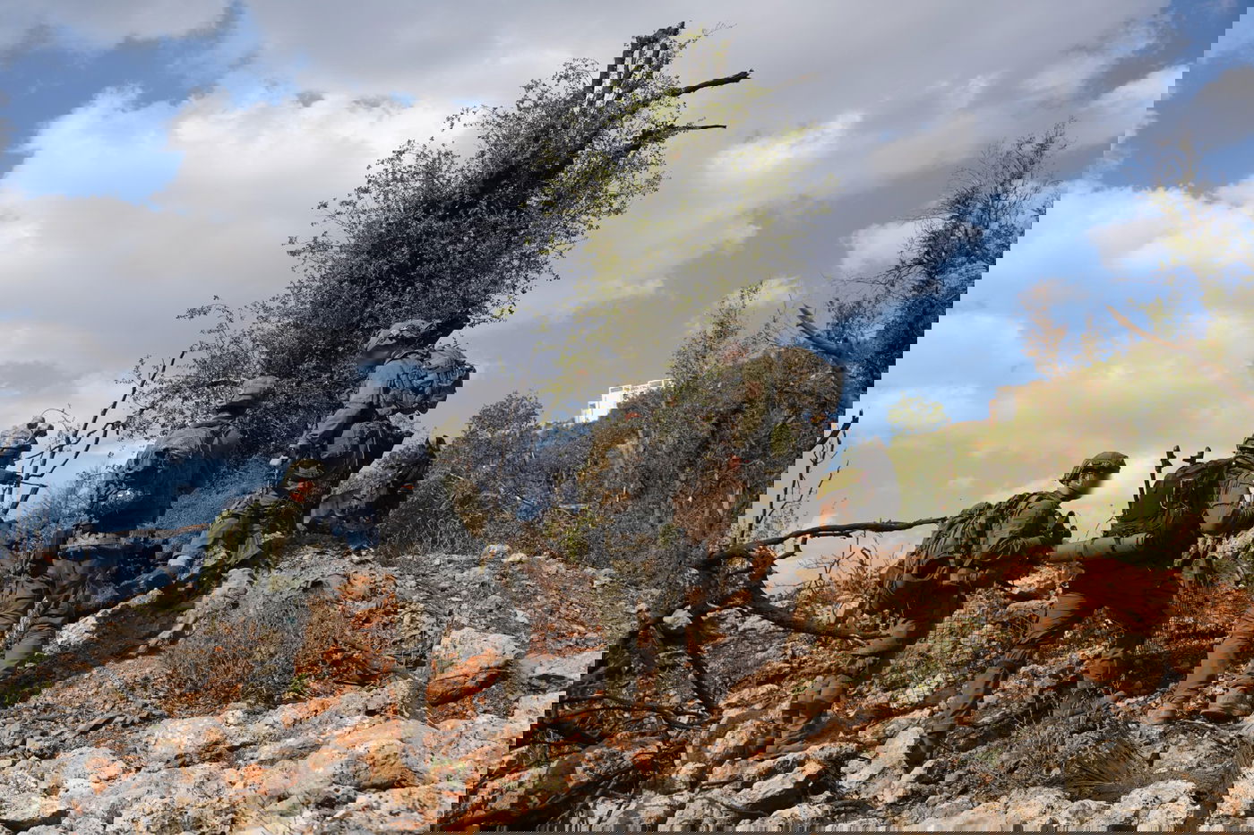 פעילות כוחות יחידת האלפיניסטים