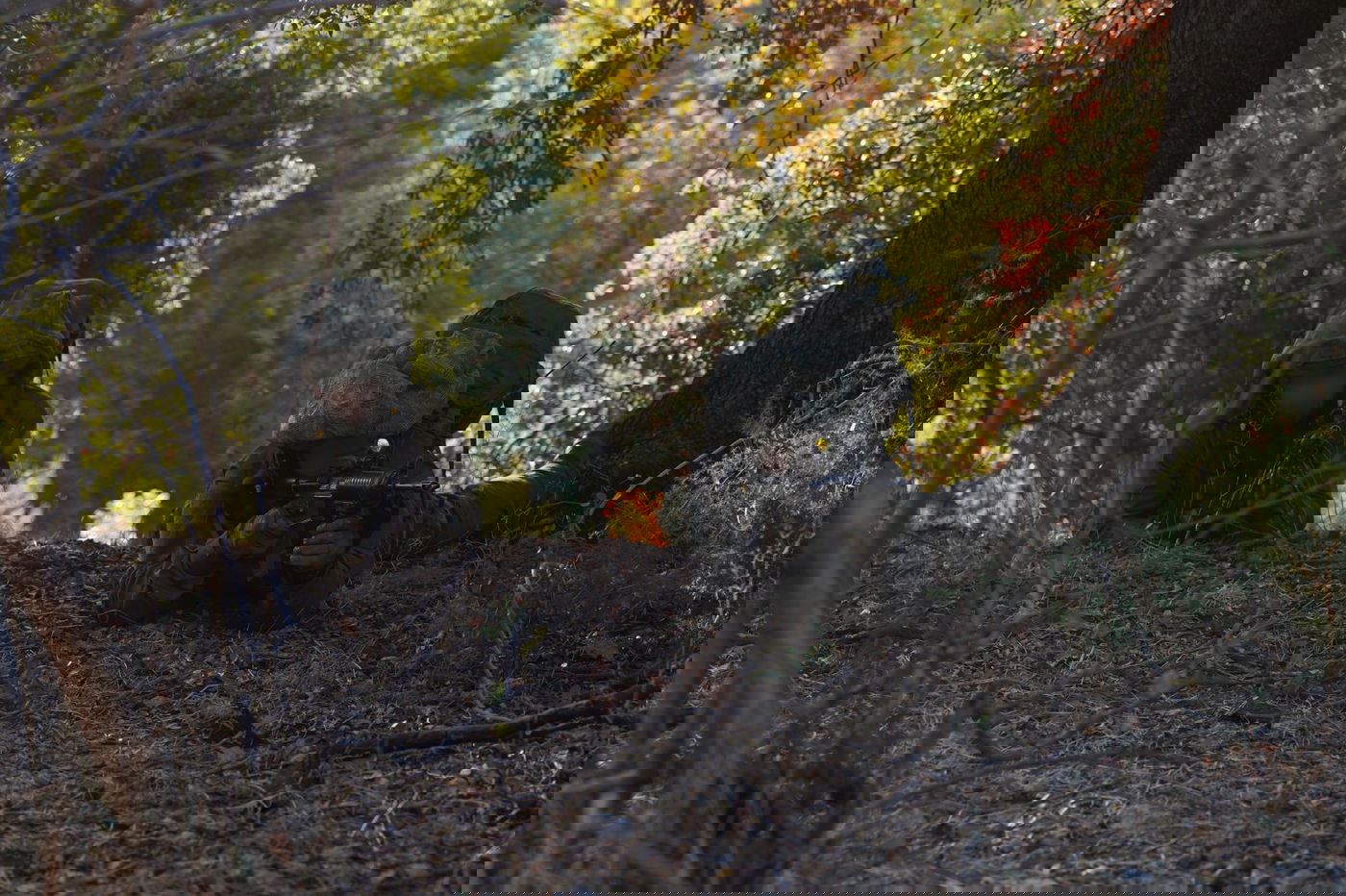 פעילות כוחות יחידת האלפיניסטים