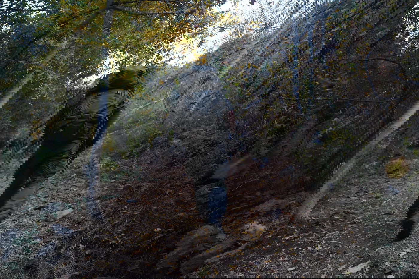 פעילות כוחות יחידת האלפיניסטים