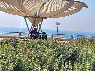 האדמו"ר מויז'ניץ בנאות דשא בנתניה 