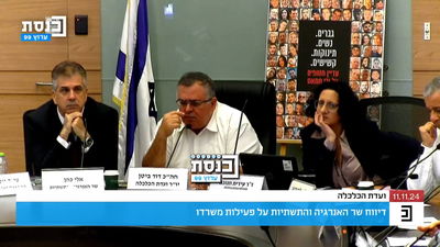 שוב: מהומה בוועדת הכלכלה לאחר שהיו"ר ביקש להוציא מהחדר את דודתה של החטופה
