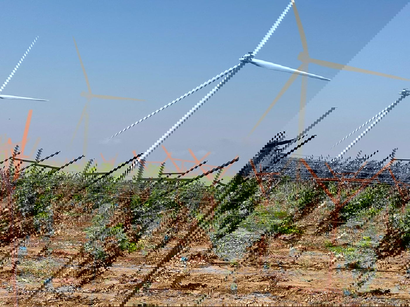 כך הצפון היה נראה לפני שהכל התחיל