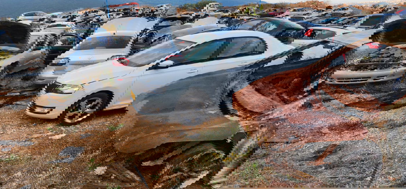 כך המסתערבים עצרו חשוד בהחזקת אמצעי לחימה | צפו