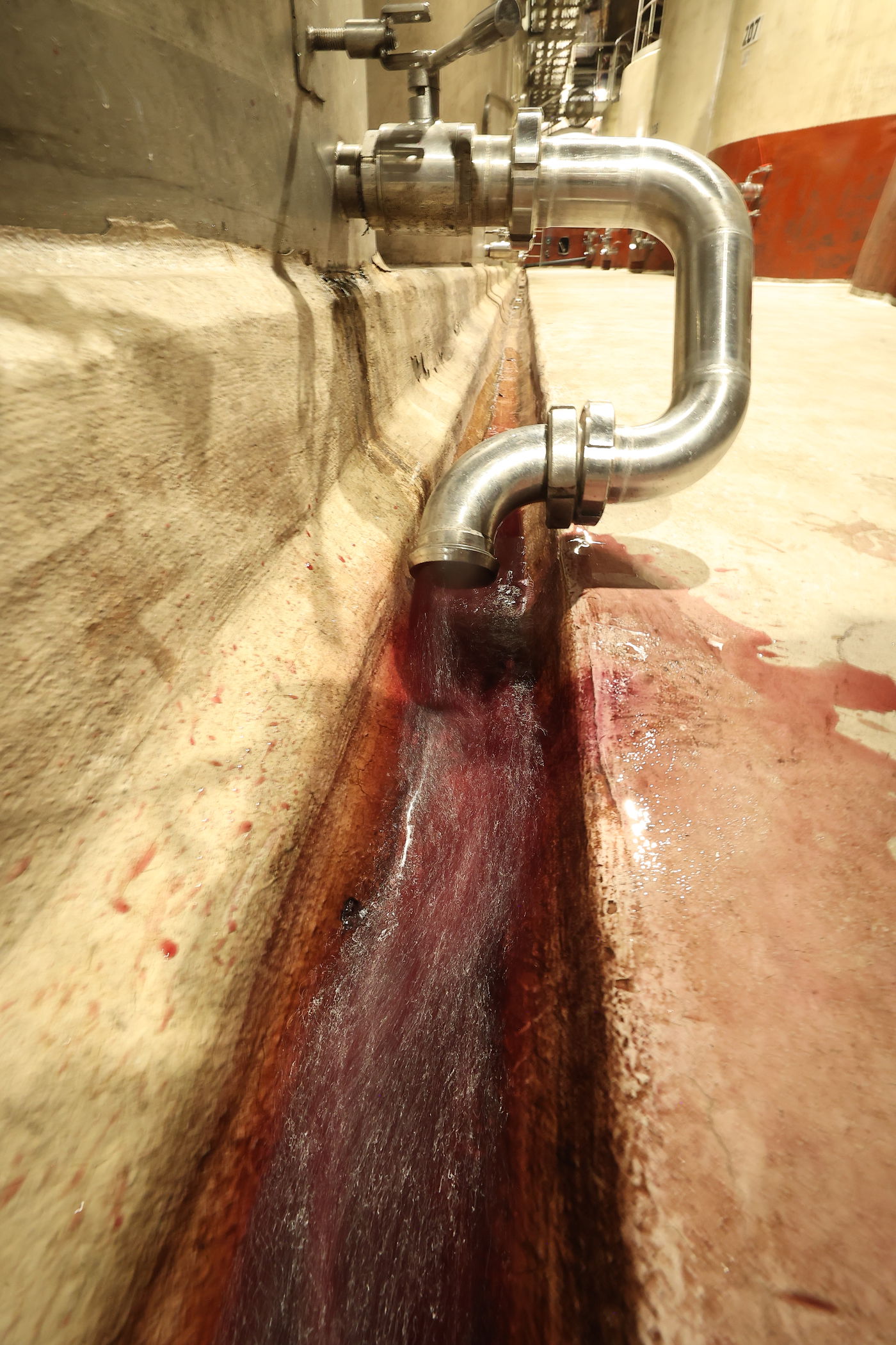 מעמד הפרשת תרומות ומעשרות במרכז המבקרים ההיסטורי של יקבי כרמל בזיכרון יעקב, במעמד גאב"ד בד"צ מהדרין הגר"א רובין, רבנים ואישי ציבור